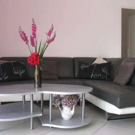Maison Neuve Artalens-souin *